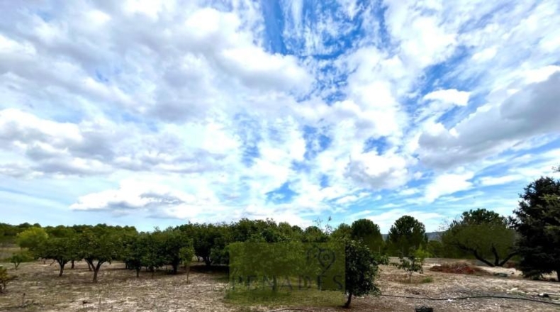 Valencia - Onteniente - 308m2