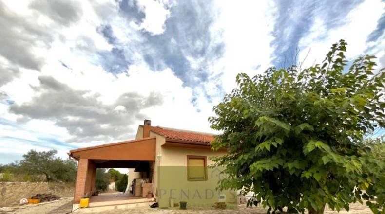 Valencia - Onteniente - 308m2