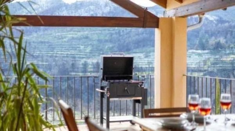 Alicante - Dolores - 25000m2