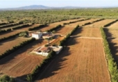 Xalet independent amb terreny en venda a la España, Camarles, ref.: TR318301 foto
