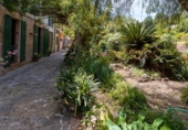 Detached villa with land for sale on España, Sóller, ref: TR146420 photo