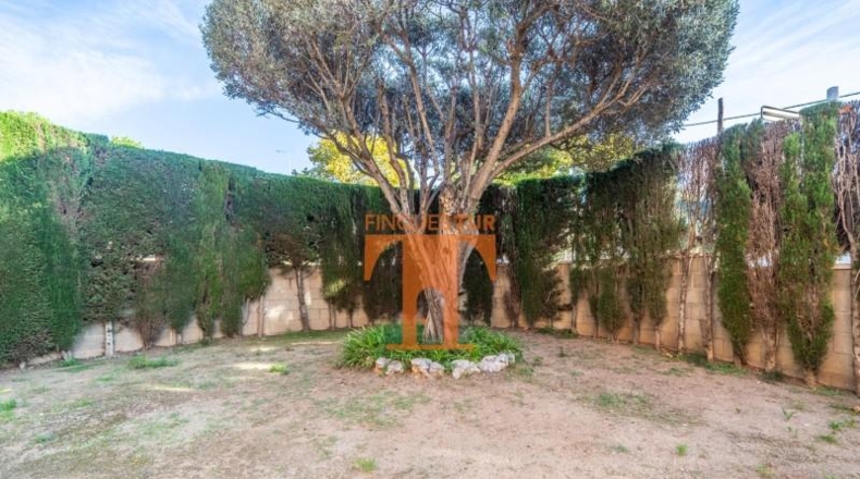 Barcelona - el Masnou - 300m2