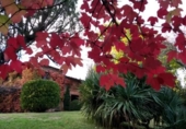 Casa de camp amb terreny en venda a la España, Galaroza, ref.: TR313074 foto