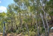 Parcel·la urbanitzable en venda a la España, Sant Pere de Ribes, ref.: TR338667 foto