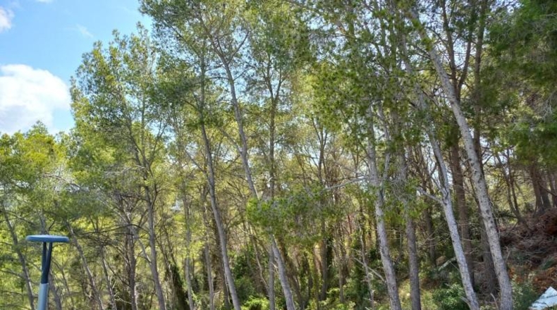Barcelona - Sant Pere de Ribes - 3925m2