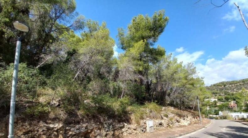 Barcelona - Sant Pere de Ribes - 3925m2