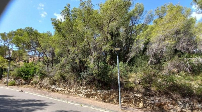 Barcelona - Sant Pere de Ribes - 3925m2