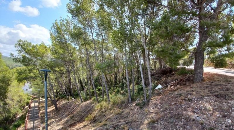 Barcelona - Sant Pere de Ribes - 3925m2
