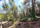 Parcel·la urbanitzable en venda a la España, Sant Pere de Ribes, ref.: TR338667 foto