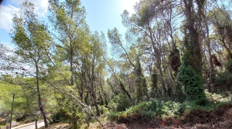 Barcelona - Sant Pere de Ribes - 3925m2