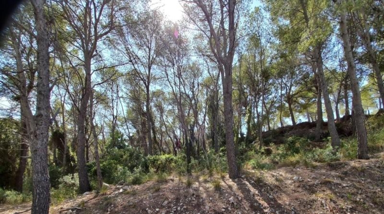 Barcelona - Sant Pere de Ribes - 3925m2