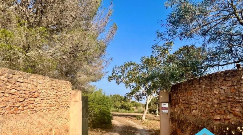 Balearic Islands - Lluchmayor - 4742m2