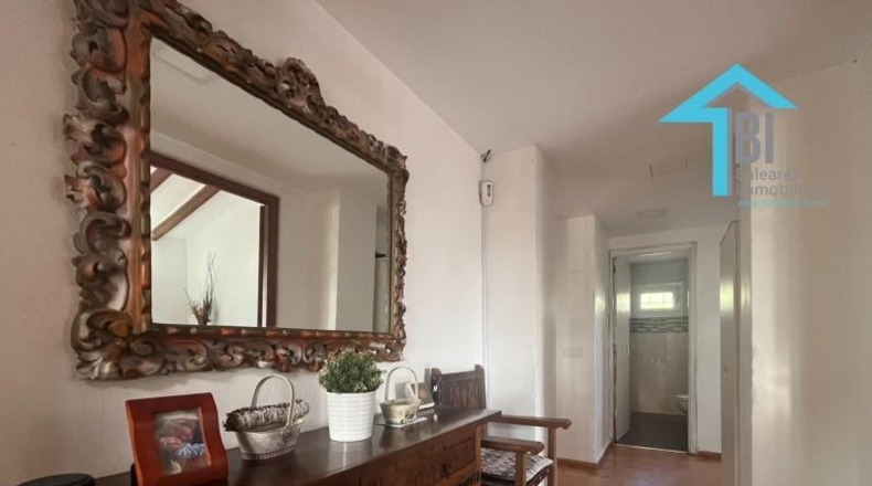 Balearic Islands - Lluchmayor - 4742m2