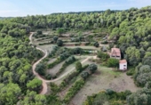 Casa de campo con terreno en venta en la España, Castelló d'Empúries, ref: TR173021 foto