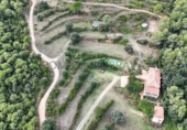 Casa de campo con terreno en venta en la España, Castelló d'Empúries, ref: TR173021 foto