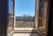 Xalet independent amb terreny en venda a la España, Sant Llorenç des Cardassar, ref.: TR159062 foto