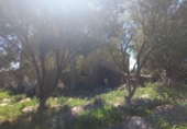 Xalet independent amb terreny en venda a la España, Sant Llorenç des Cardassar, ref.: TR159062 foto