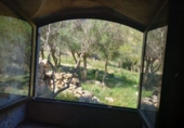 Xalet independent amb terreny en venda a la España, Sant Llorenç des Cardassar, ref.: TR159062 foto