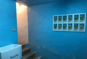 Foto 14