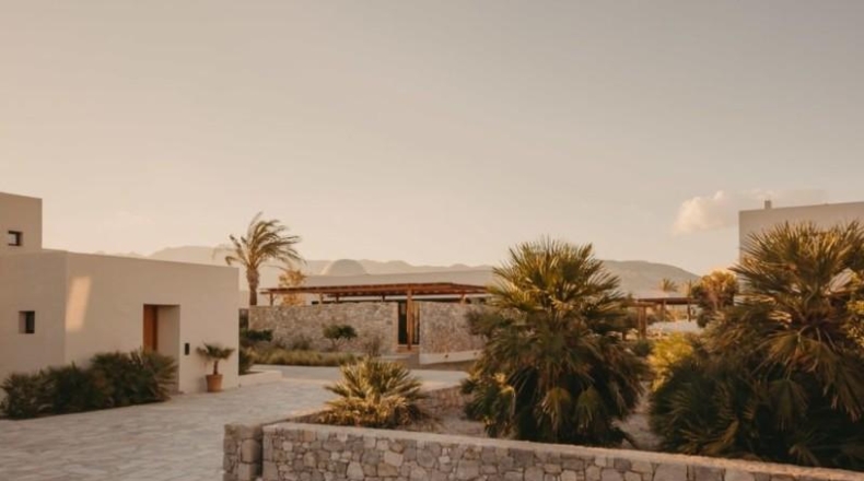 Murcia - Yecla - 20000m2