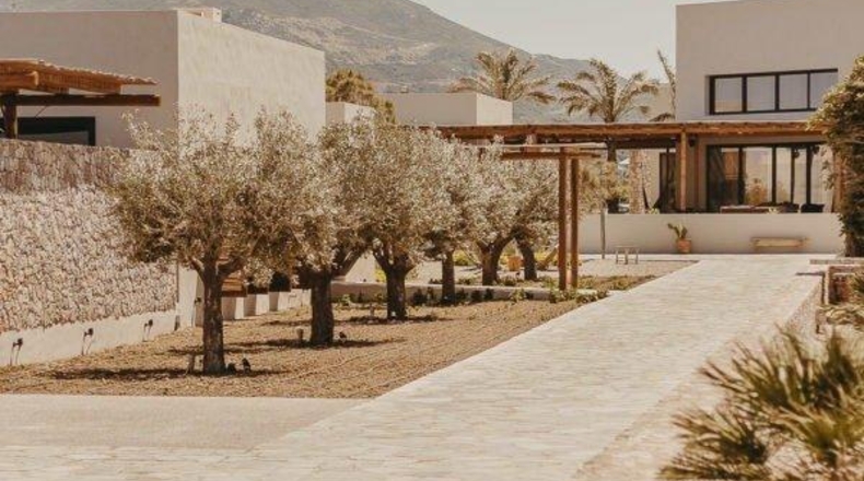 Murcia - Yecla - 20000m2