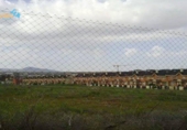 Sòl urbà en venda a la España, Mèrida, ref.: TR266746 foto