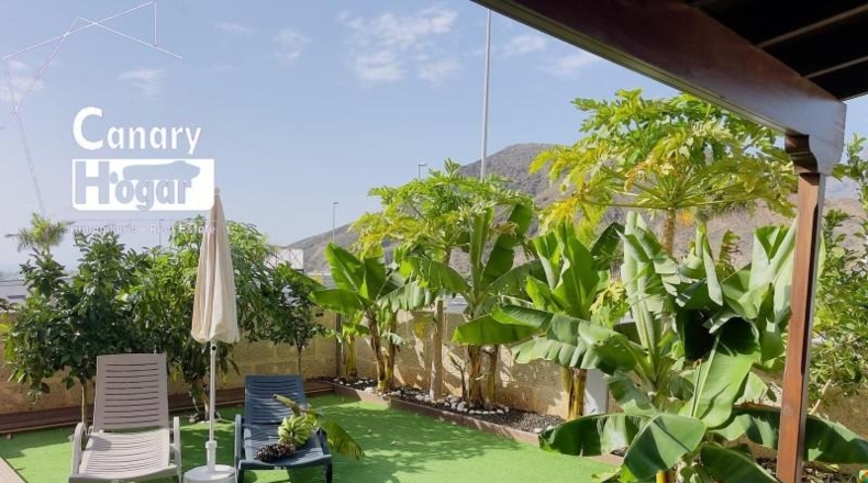 Santa Creu de Tenerife - Arona - 604m2