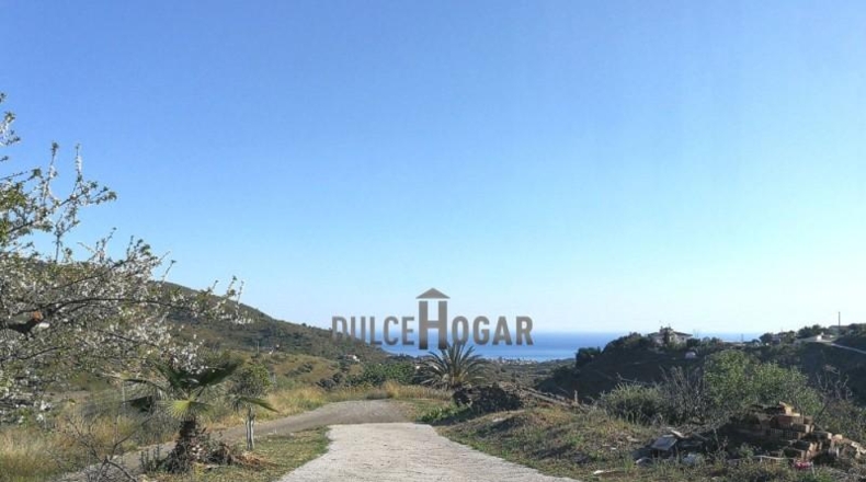 Málaga - Moclinejo - 90449m2