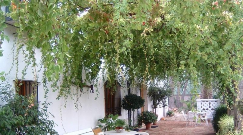 Tarragona - Tortosa - 10231m2
