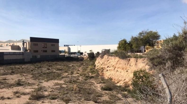 Alicante - Crevillente - 6200m2