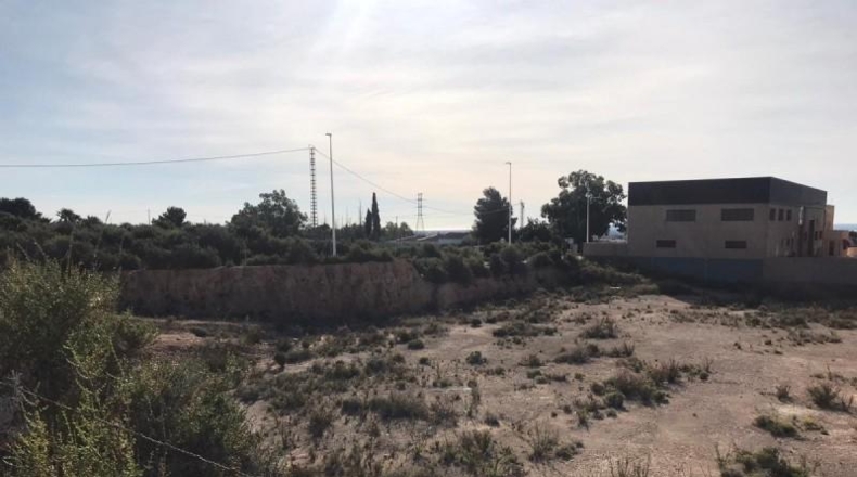 Alicante - Crevillente - 6200m2