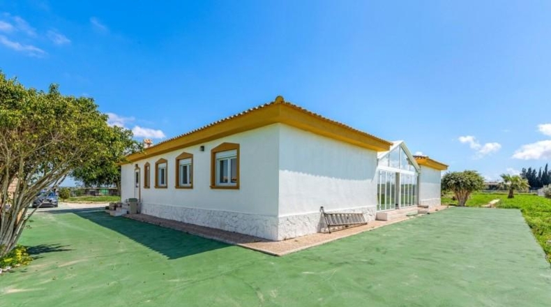 Alicante - Los Montesinos - 12170m2