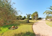 Casa de camp amb terreny en venda a la España, Alhaurín el Grande, ref.: TR220002 foto