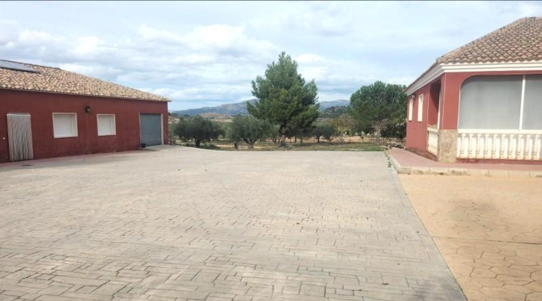 Alicante - Sax - 10800m2