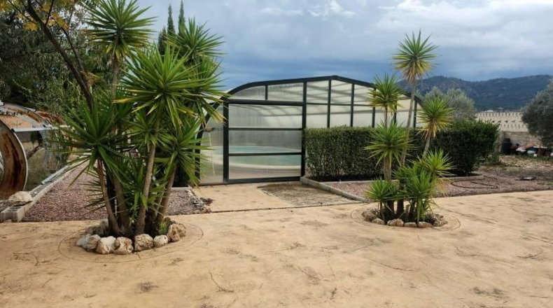 Alicante - Sax - 10800m2