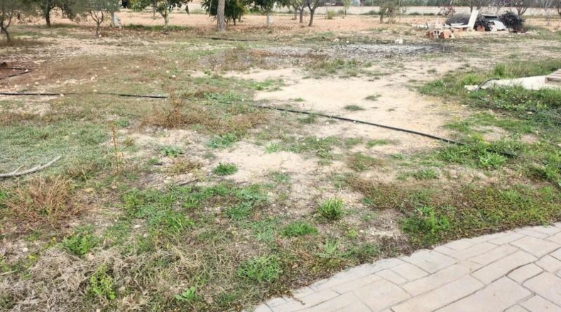 Alicante - Sax - 10800m2