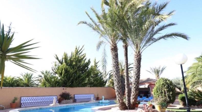 Alicante - Torrevieja - 1900m2
