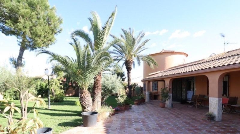Alicante - Torrevieja - 1900m2