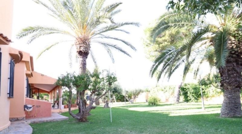 Alicante - Torrevieja - 1900m2