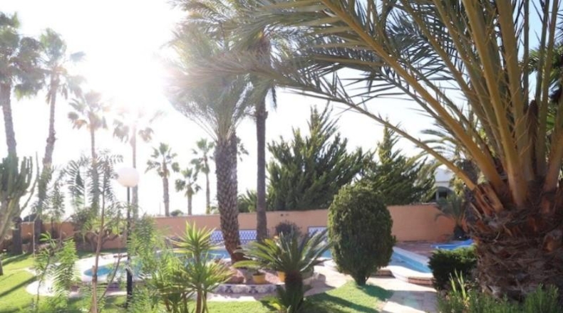 Alicante - Torrevieja - 1900m2