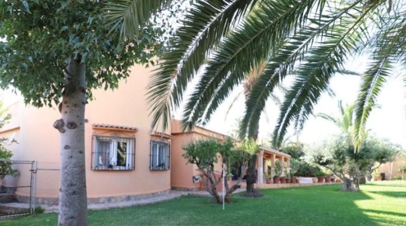 Alicante - Torrevieja - 1900m2