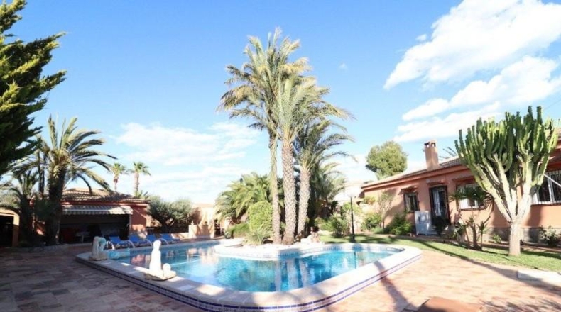 Alicante - Torrevieja - 1900m2
