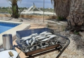 Xalet independent amb terreny en venda a la España, San Javier, ref.: TR282383 foto