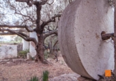 Casa de camp amb terreny en venda a la España, Masdenverge, ref.: TR176246 foto