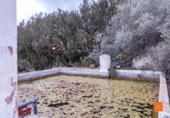 Casa de camp amb terreny en venda a la España, Masdenverge, ref.: TR176246 foto