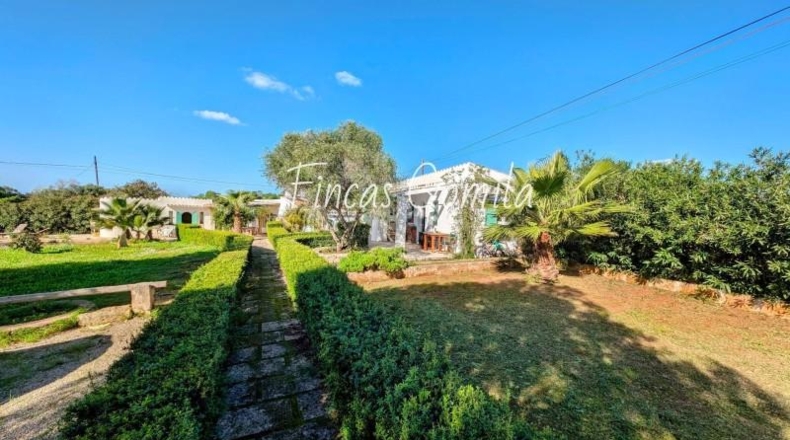 Islas Baleares - Es Pou Nou - 1662m2