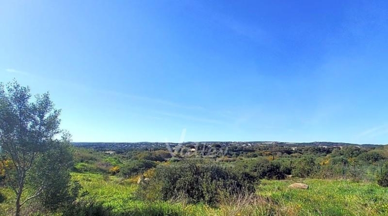 Cádiz - San Roque - 3376m2