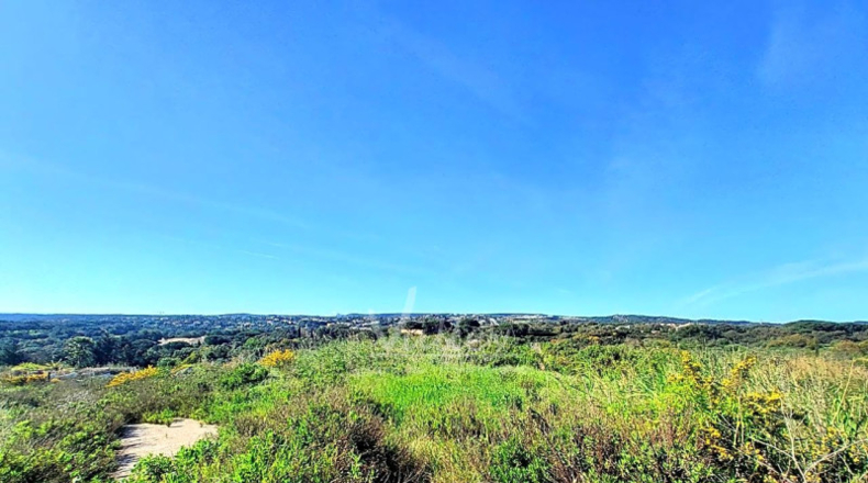 Cádiz - San Roque - 3376m2