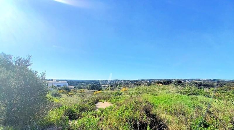 Cádiz - San Roque - 3376m2