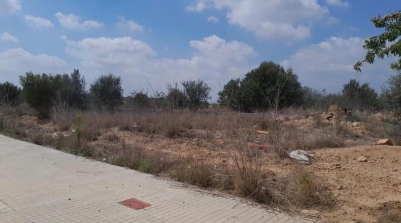 Valencia - Liria - 7160m2